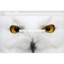 White Owl  screen for extension Chrome web store in OffiDocs Chromium