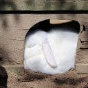 White Rabbit  screen for extension Chrome web store in OffiDocs Chromium