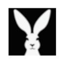 White Rabbit Drive Importer  screen for extension Chrome web store in OffiDocs Chromium