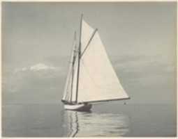 免费下载长岛湾的白色帆船免费照片或图片，使用 GIMP 在线图像编辑器进行编辑