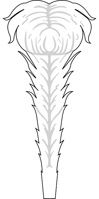 Darmowe pobieranie Biały Miękkie - Darmowa grafika wektorowa na Pixabay darmowa ilustracja do edycji za pomocą GIMP darmowy edytor obrazów online
