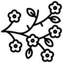White Spring Blossoms  screen for extension Chrome web store in OffiDocs Chromium
