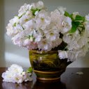 White Vase  screen for extension Chrome web store in OffiDocs Chromium