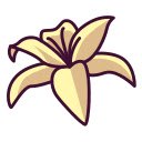 White Water Lily Bloom  screen for extension Chrome web store in OffiDocs Chromium
