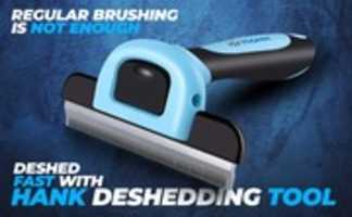 Free download Why Deshedding is Important for Pets? free photo or picture to be edited with GIMP online image editor