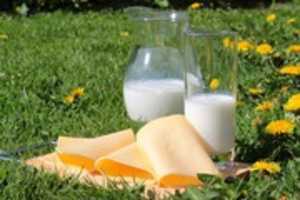 Free download Why should you add calcium rich foods to your diet? free photo or picture to be edited with GIMP online image editor