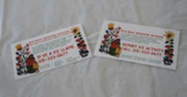 Free download Wide Shot free photo or picture to be edited with GIMP online image editor