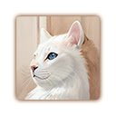 Примерка креатива на Wildberries или Ozon  screen for extension Chrome web store in OffiDocs Chromium
