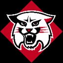 Wildcat RMP  screen for extension Chrome web store in OffiDocs Chromium