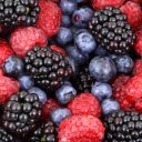 Wild Fruits: Natures Bounty from the Forest  screen for extension Chrome web store in OffiDocs Chromium