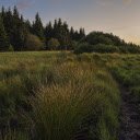 Wild grass field  screen for extension Chrome web store in OffiDocs Chromium