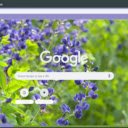 Wild Indigo  screen for extension Chrome web store in OffiDocs Chromium