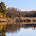 Wild lake  screen for extension Chrome web store in OffiDocs Chromium