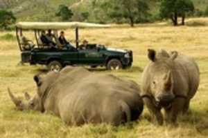 Free download Wildlife Safari Tour Near Cape Town free photo or picture to be edited with GIMP online image editor