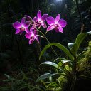 Wild Orchid  screen for extension Chrome web store in OffiDocs Chromium