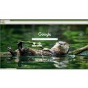 wild otter  screen for extension Chrome web store in OffiDocs Chromium