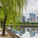 Willows by the Lake  screen for extension Chrome web store in OffiDocs Chromium