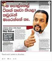 Free download wimal_oil free photo or picture to be edited with GIMP online image editor