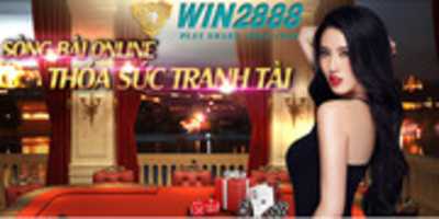 Free download win2888 free photo or picture to be edited with GIMP online image editor