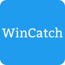 WinCatch to Bookmark Current Window  screen for extension Chrome web store in OffiDocs Chromium