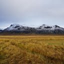 windy day field  screen for extension Chrome web store in OffiDocs Chromium