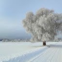 Winter and White Snow  screen for extension Chrome web store in OffiDocs Chromium