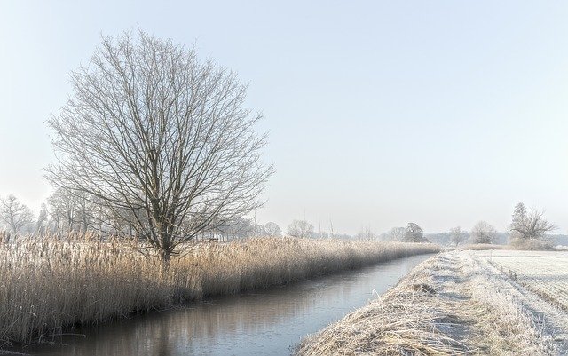 ดาวน์โหลดเทมเพลตรูปภาพฟรี Winter Cold Ripe ฟรีเพื่อแก้ไขด้วยโปรแกรมแก้ไขรูปภาพออนไลน์ GIMP