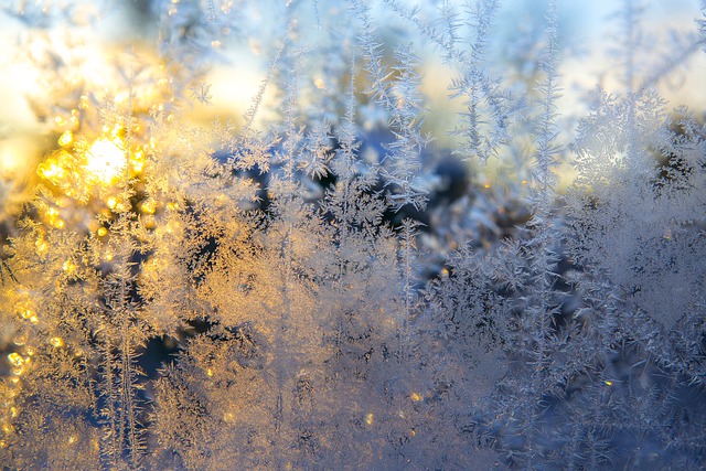 הורדה חינם של מרקם קרח משטח קר בחורף תמונה בחינם לעריכה עם עורך תמונות מקוון בחינם של GIMP