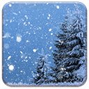 Winter Fir Tree  screen for extension Chrome web store in OffiDocs Chromium