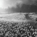 Winter Fog  screen for extension Chrome web store in OffiDocs Chromium