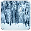 Winter Forest  screen for extension Chrome web store in OffiDocs Chromium
