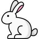 Winter Forest Bunny  screen for extension Chrome web store in OffiDocs Chromium