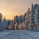 Winter Forest Road  screen for extension Chrome web store in OffiDocs Chromium