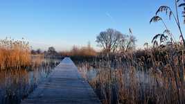 Бесплатно загрузите бесплатный шаблон фотографий Winter Frozen Ripe Bridge для редактирования в онлайн-редакторе изображений GIMP.