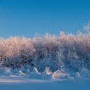 winter grass  screen for extension Chrome web store in OffiDocs Chromium