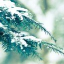 Winter, frohes neues Jahr (Sielena-Thema) Bildschirm für die Erweiterung Chrome Web Store in OffiDocs Chromium