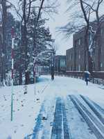 Hokkaido Üniversitesi'nde Kış'ı ücretsiz indirin ücretsiz fotoğraf veya resim GIMP çevrimiçi resim düzenleyici ile düzenlenebilir