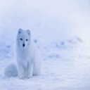 Winter Is Coming  screen for extension Chrome web store in OffiDocs Chromium
