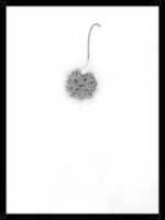 Free download Winter Minimalism free photo or picture to be edited with GIMP online image editor