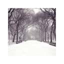 Winter Park  screen for extension Chrome web store in OffiDocs Chromium