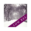 Winter Park Low Resolution  screen for extension Chrome web store in OffiDocs Chromium