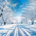 Winter road wallpaper  screen for extension Chrome web store in OffiDocs Chromium
