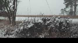 免费下载冬季雪冷免费照片模板，使用 GIMP 在线图像编辑器进行编辑