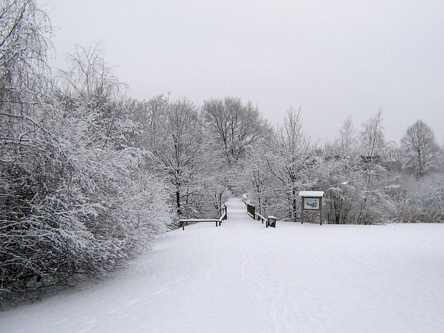 Bezpłatne pobieranie zimowego śniegu zimowego zimnego krajobrazu darmowe zdjęcie do edycji za pomocą bezpłatnego internetowego edytora obrazów GIMP