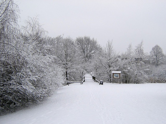 Free download winter snow wintry cold landscape free picture to be edited with GIMP free online image editor