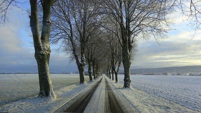 Free download winter sweden snow landscape trees free picture to be edited with GIMP free online image editor