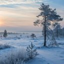 WINTER Theme  screen for extension Chrome web store in OffiDocs Chromium