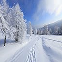 Winter Wallpaper  screen for extension Chrome web store in OffiDocs Chromium
