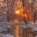 Winter wallpaper features a stream flowing through a snow covered forest  screen for extension Chrome web store in OffiDocs Chromium
