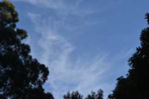 הורדה חינם של Wispy clouds תמונה או תמונה בחינם לעריכה עם עורך התמונות המקוון GIMP